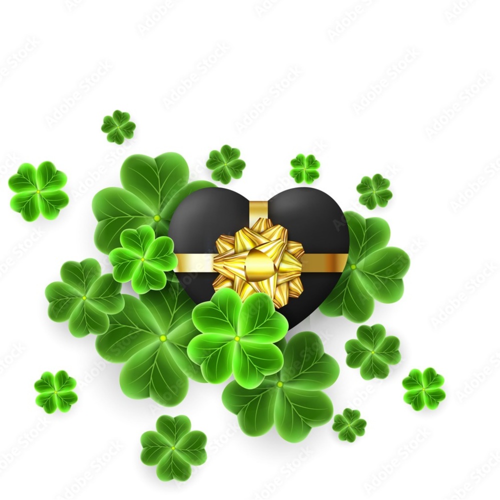 💚💚💚💚💚💚💚💚